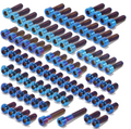 Surron and 79-Bike Titanium Kit